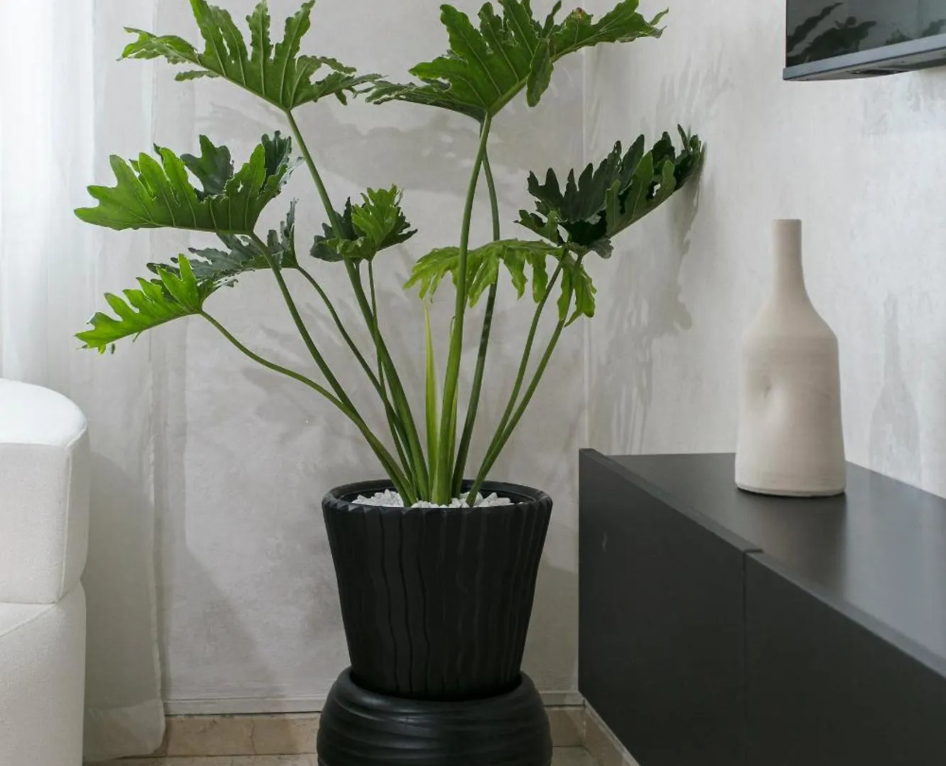 White Pearl Gueliz Apartment Marrakesh